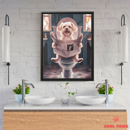Maltese Reading the Newspaper on the Toilet