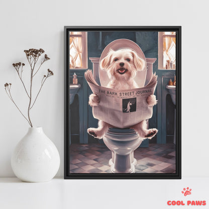 Maltese Reading the Newspaper on the Toilet