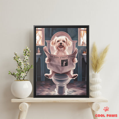 Maltese Reading the Newspaper on the Toilet