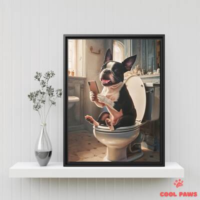 Boston Terrier on the Toilet with a Smartphone